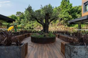 Olympic House Luxo e automação by Achei Gramado