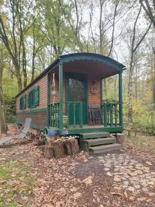 Pipowagen Harambè - Білзен