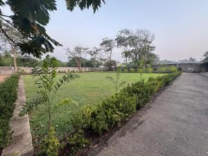 Thronefield Eco Lodge