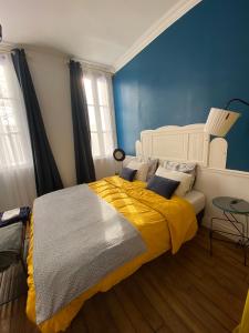 Chambre bleue et or 16m2 chez lhabitant dans appartement 100m2 centre ville