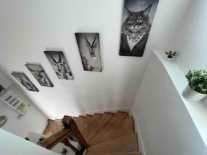 Villas KXX Private complex 15 min PARIS ParcExpo 12 bedrooms : photos des chambres