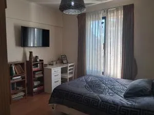 Guayo's house - Concepción