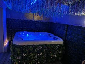 Appartements Apartment with jacuzzi : photos des chambres