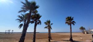 Appartements Appartement bord de mer le Capitaine : photos des chambres