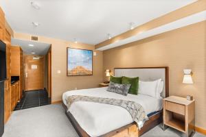 New! Luxury Resort Ski In Ski Out Studio