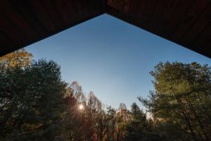 Stay Near Old RagWhite Oak Falls - Cozy Log Cabin