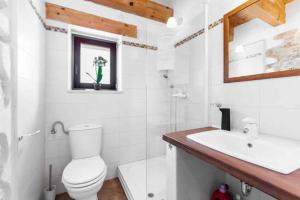 Holiday home in Milotski Brijeg - Istrien 51829