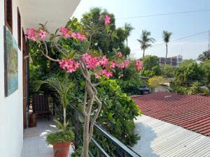 Casa Rockot