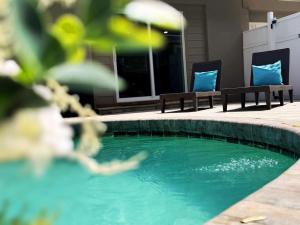 Palm Breeze Getaway Tampa