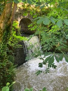Villas Moulin des Rondelles : photos des chambres