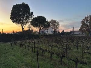 Villas Villa in Carpentras with Private Pool : photos des chambres