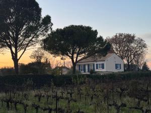 Villas Villa in Carpentras with Private Pool : photos des chambres