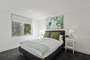 Central Braddon Retreat with Balcony & Pool Access