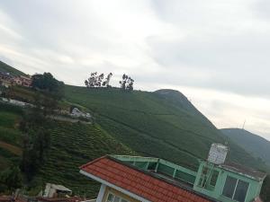 Queenhill residency 2