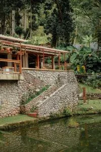 Cattaleya Eco - Crestegallo