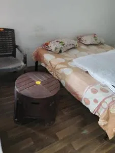 Mount view guest house - Katra