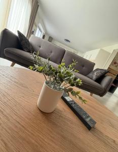 Appartements Gite Bagatelle l-Ecrin du Ried PROCHE EUROPAPARK : photos des chambres