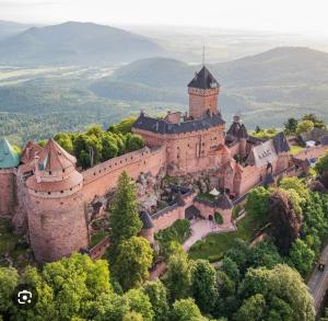 Appartements Gite Bagatelle l-Ecrin du Ried PROCHE EUROPAPARK : photos des chambres