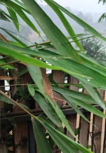 Royal Valley Apartment