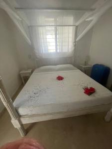 Bellissima location Malindi