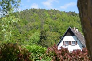 Maisons de vacances Le Gite de l'Ecureuil : photos des chambres