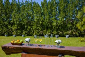 ELIVAAS Riveira Hills - 3 BHK Wooden Cottage with Lush Garden, Pvt Pool