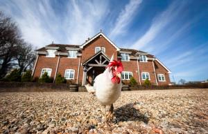 Langford farmhouse - New Forest National Park Luxury 4bd, hot tub, cinema, 10 acres