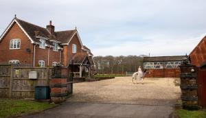 Langford farmhouse - New Forest National Park Luxury 4bd, hot tub, cinema, 10 acres