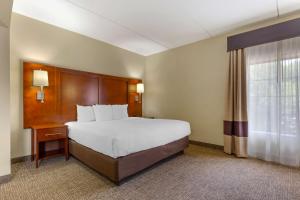 Executive King Suite - Non-Smoking room in Comfort Suites Regency Park