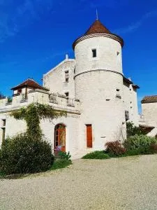 Château LA ROBERTERIE logement entier proche Saint Emilion - Listrac-de-Durèze