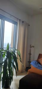 Trizen Luxury 32nd Floor 2 Bed-2 Bath Apartment with Pool, Harbour & Lotus Tower views