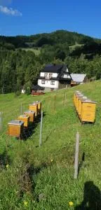 Agroturystyka Anna - 奧考特尼查古尔纳