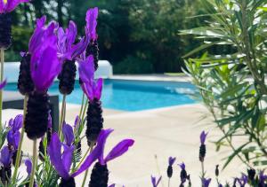 Villas Villa Poujeau - Piscine chauffee : Villa