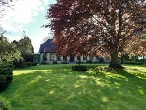 Rotbuche - Rabenkirchen-Faulück