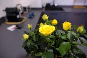 Stay&Go - Bilocale con Giardino