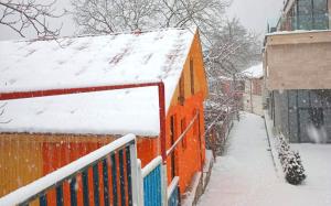 villa green garden borjomi