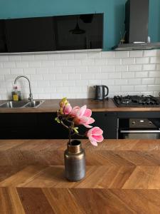 Central Szeged Apartment