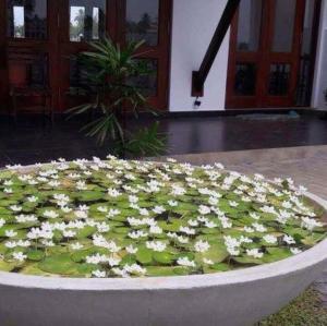 Kamatha Hotel & Restaurant