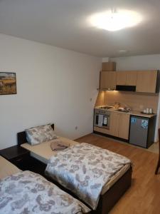 Pirin Views Aspen A337