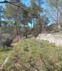 Maisons d'hotes Casa AMMIRATI FLAYOSC Appartement : photos des chambres