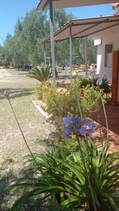 Case vacanza da Luisa