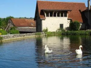 moulin de vasiliere - 弗萨克