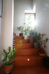 Vinařství Pod hradem