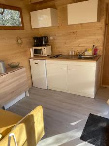 La Tiny House des Oliviers et son jacuzzi