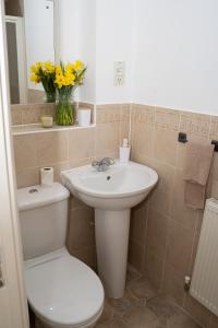 Yellow Haven spacious quiet free parking sleeps 7