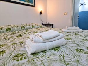 Cattedrale - Maiolica Brugnò