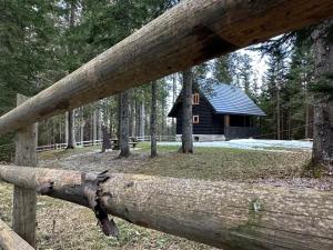 Cosy Lodge Pokljuka