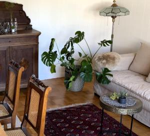 Ferienwohnung Ruth