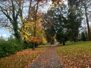 Grove View log house