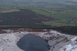 Grove View log house